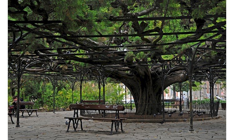 Príncipe Real Garden