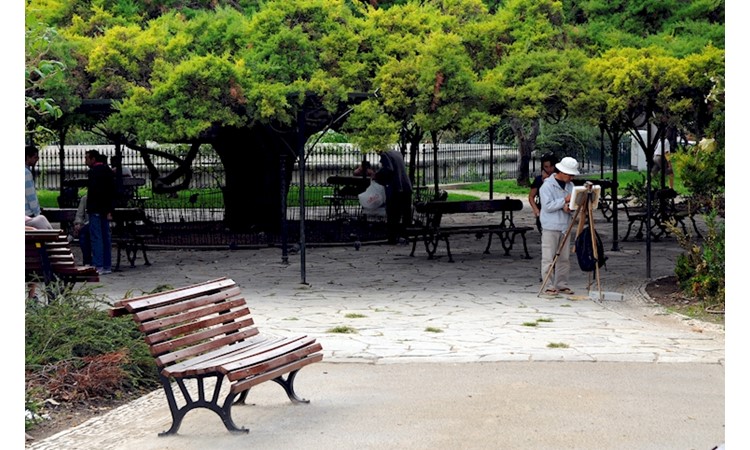 Príncipe Real Garden