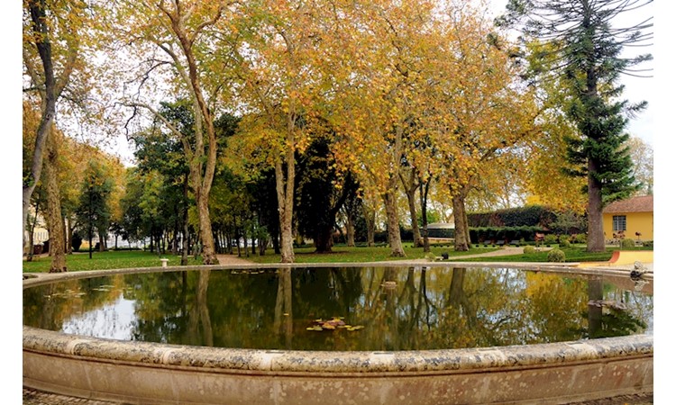 Tapada de Mafra – gardens of the Enclosure and the Celebredo