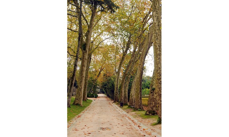 Tapada de Mafra – gardens of the Enclosure and the Celebredo