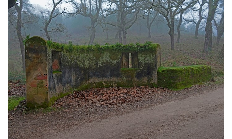 Tapada de Mafra – gardens of the Enclosure and the Celebredo