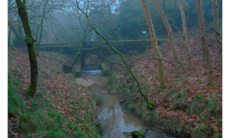 Tapada de Mafra – gardens of the Enclosure and the Celebredo