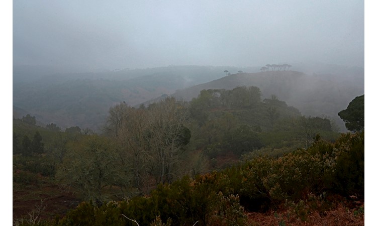 Tapada de Mafra – gardens of the Enclosure and the Celebredo