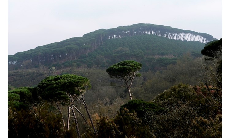 Tapada de Mafra – gardens of the Enclosure and the Celebredo