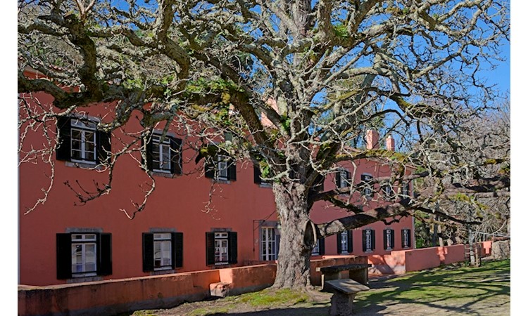 Tapada de Mafra – gardens of the Enclosure and the Celebredo