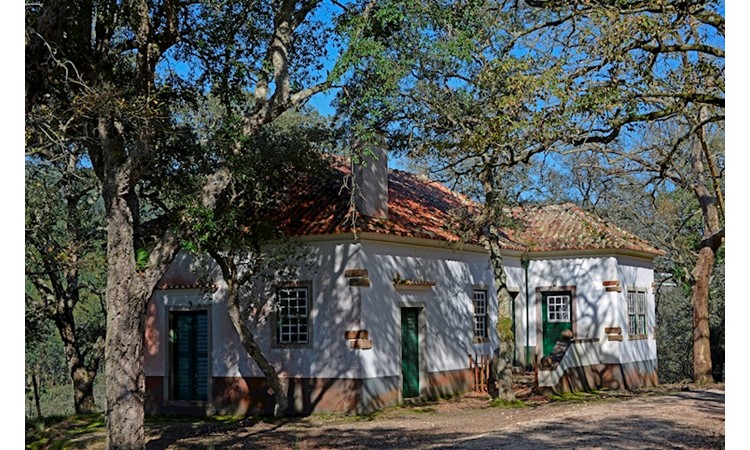 Tapada de Mafra – gardens of the Enclosure and the Celebredo