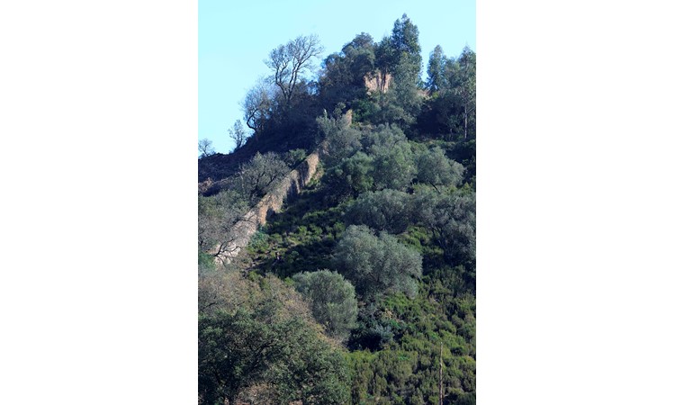 Tapada de Mafra – gardens of the Enclosure and the Celebredo