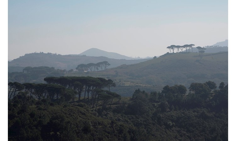 Tapada de Mafra – gardens of the Enclosure and the Celebredo