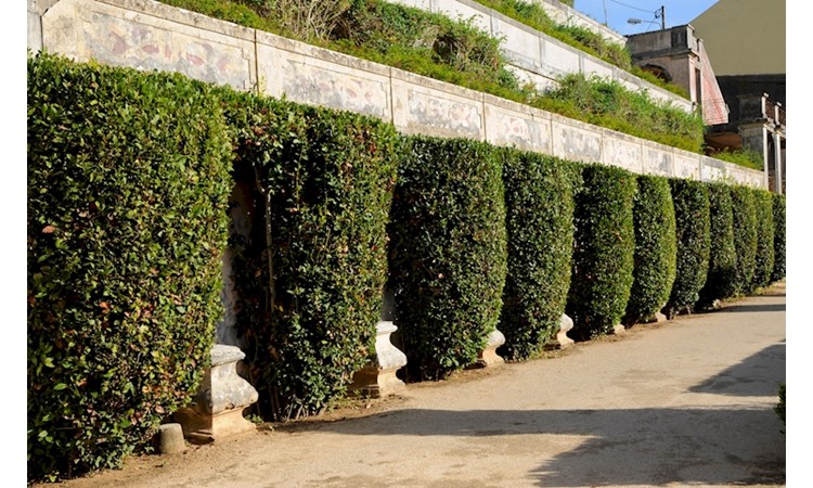 Garden of the Quinta Real de Caxias