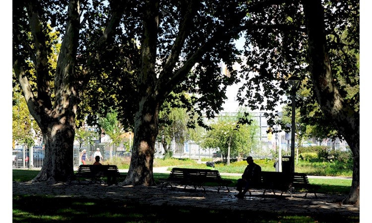 Bonfim Park