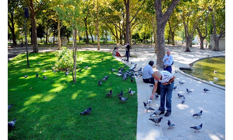 Bonfim Park