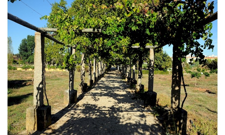 Quinta das Machadas