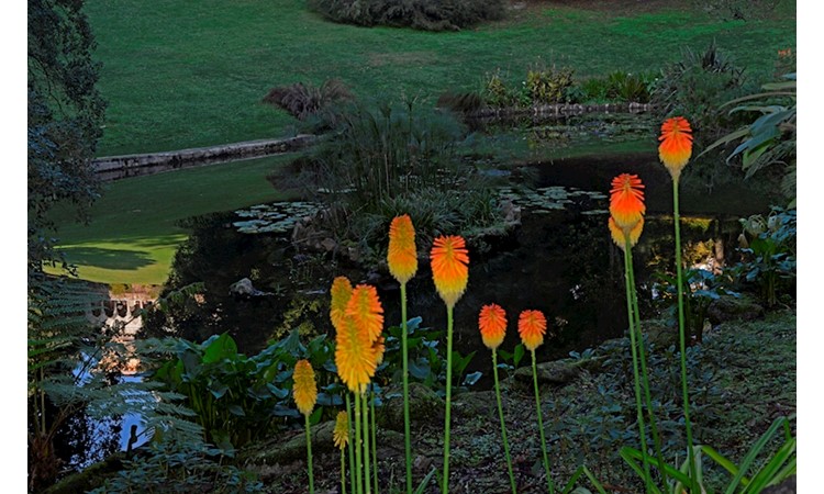 Monserrate Park