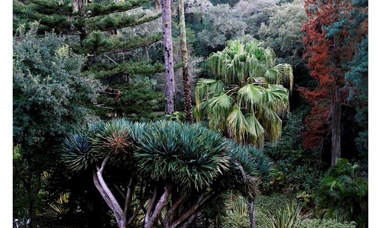 Monserrate Park