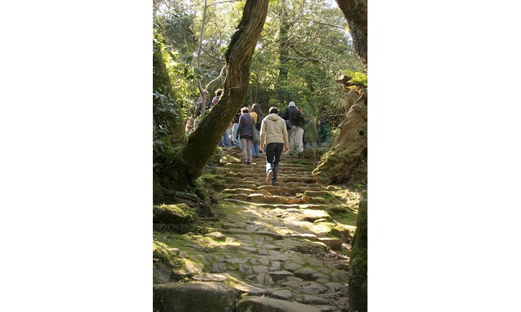 Convent of the Capuchos