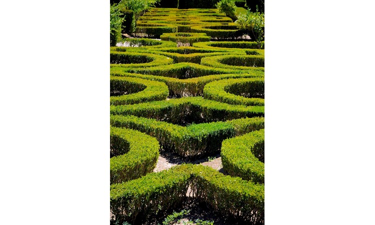 Gardens of the Palace of Queluz