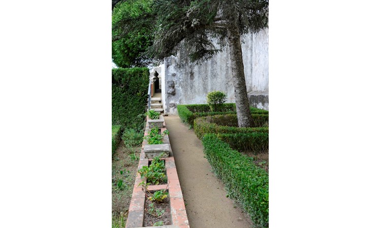 Jardins do Palácio Nacional de Sintra