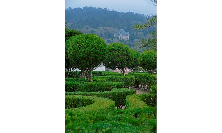 Jardins do Palácio Nacional de Sintra
