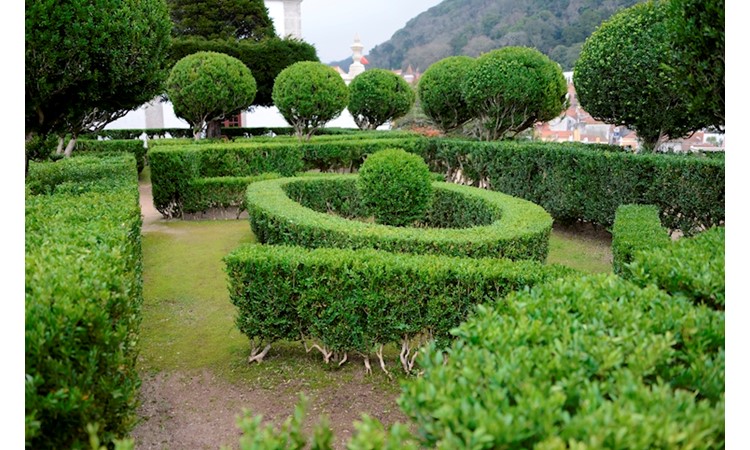 Jardins do Palácio Nacional de Sintra