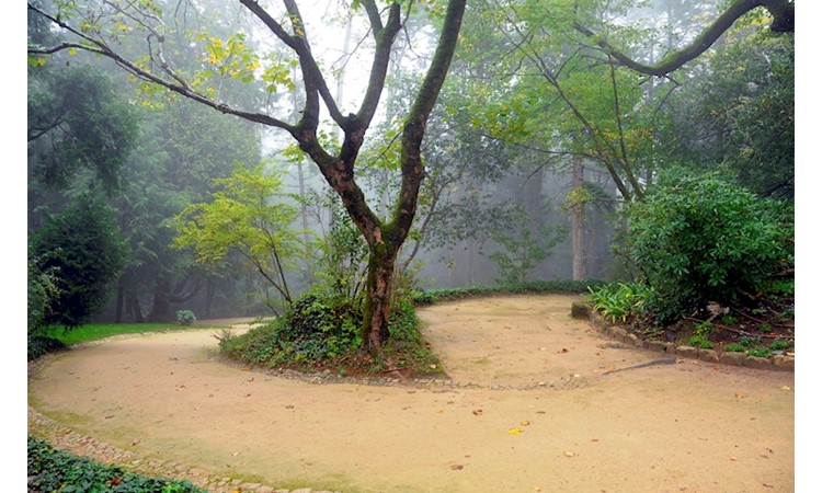 Pena Park