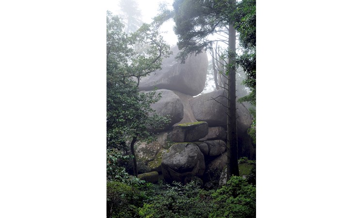 Pena Park