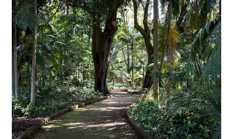 José do Canto Botanical Garden