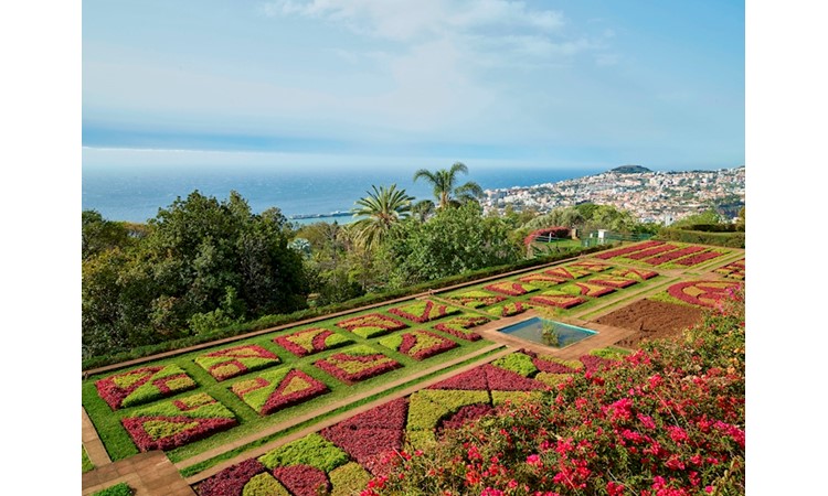 Madeira`s Botanical Garden