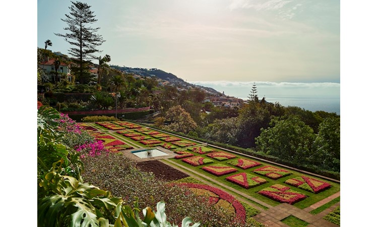 Madeira`s Botanical Garden