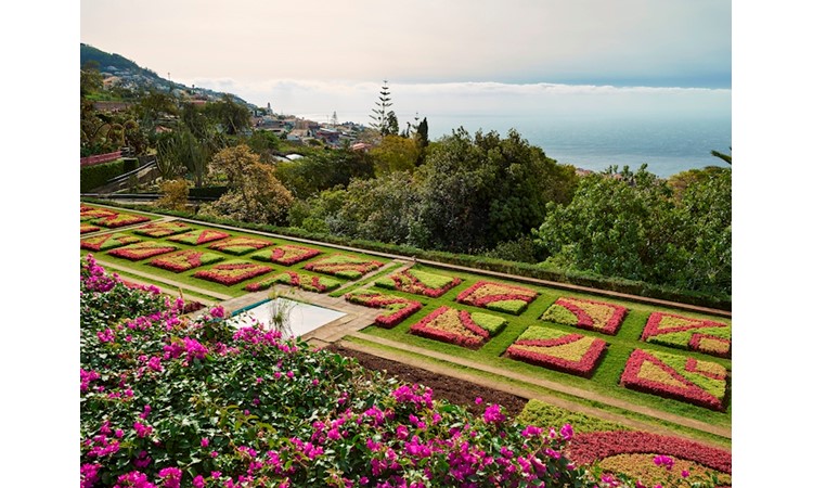 Madeira`s Botanical Garden
