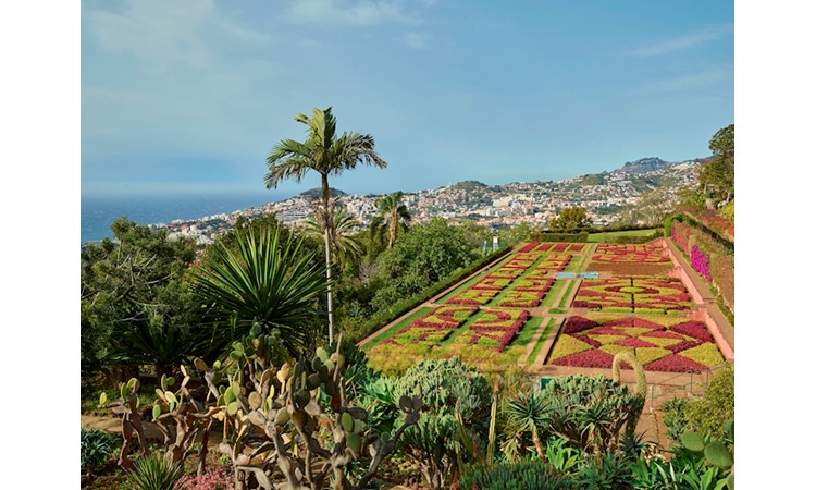 Madeira`s Botanical Garden