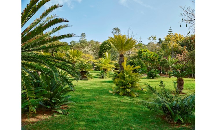 Madeira`s Botanical Garden