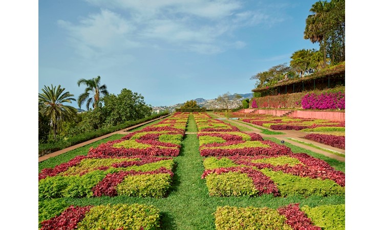 Madeira`s Botanical Garden