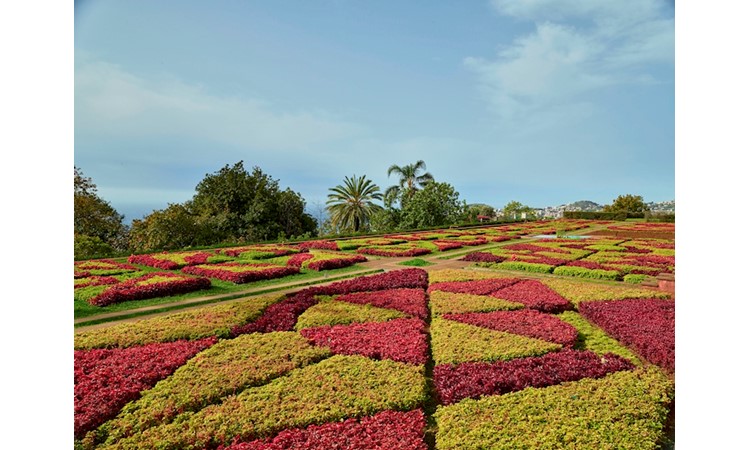 Madeira`s Botanical Garden