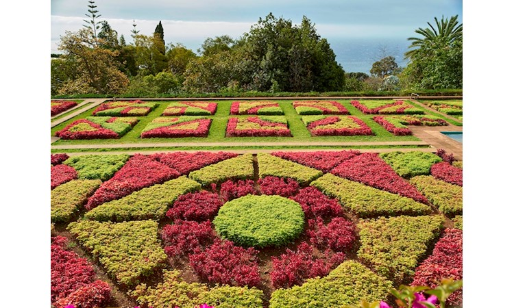 Madeira`s Botanical Garden
