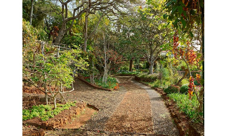 Madeira`s Botanical Garden