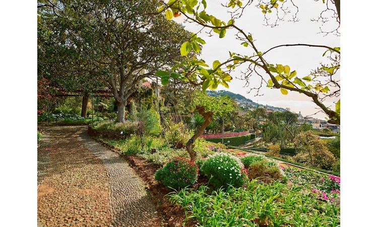 Madeira`s Botanical Garden