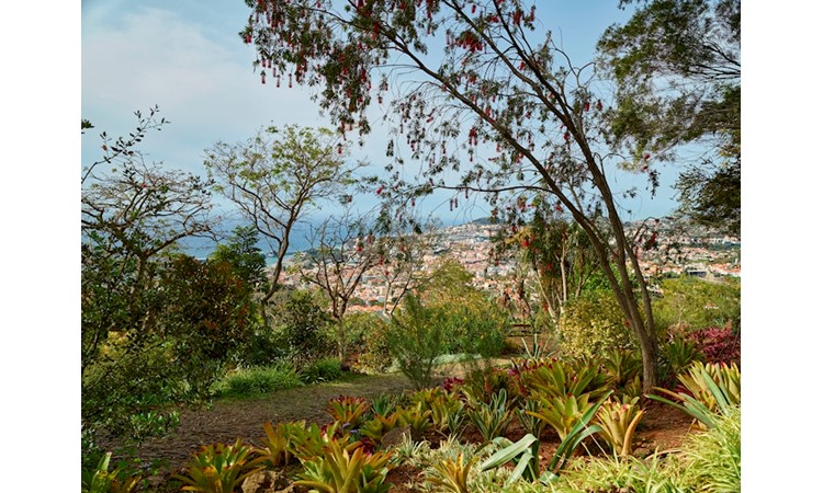 Madeira`s Botanical Garden