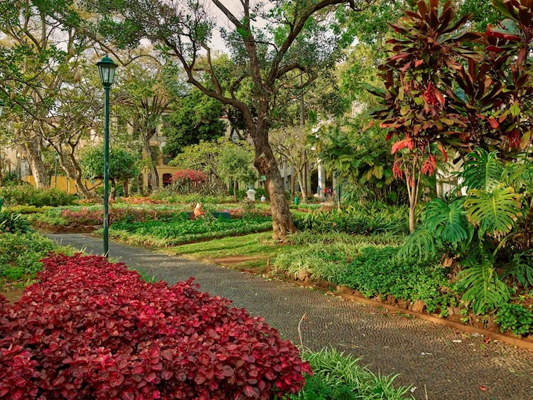 S. Francisco Municipal Garden