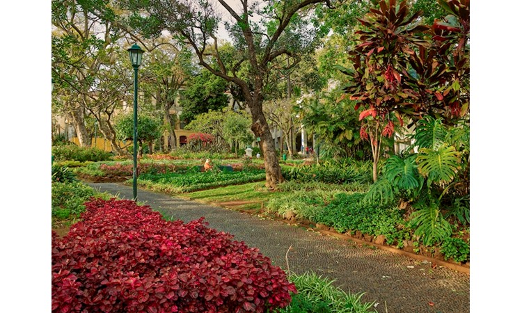 S. Francisco Municipal Garden