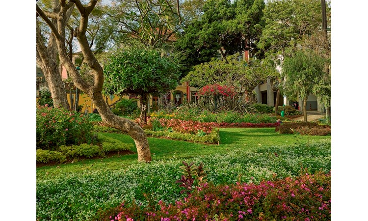 S. Francisco Municipal Garden