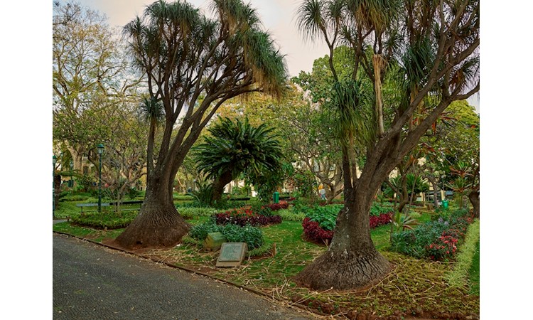 S. Francisco Municipal Garden