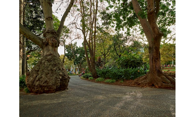 S. Francisco Municipal Garden