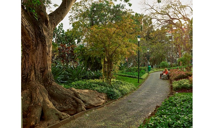 S. Francisco Municipal Garden