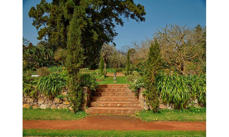 Jardins du Palheiro Ferreiro