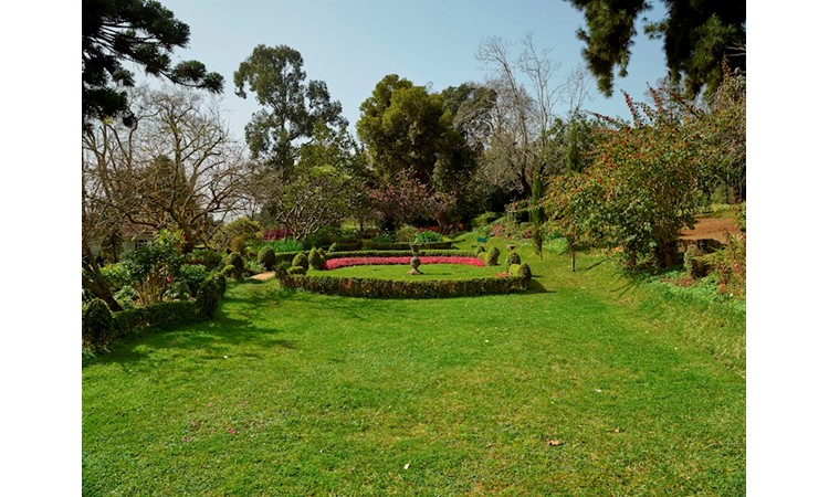 Palheiro Ferreiro Gardens
