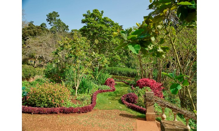Jardins du Palheiro Ferreiro