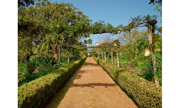Jardins du Palheiro Ferreiro