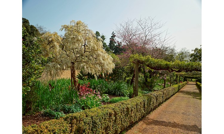 Jardins du Palheiro Ferreiro