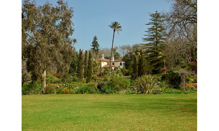 Jardins du Palheiro Ferreiro