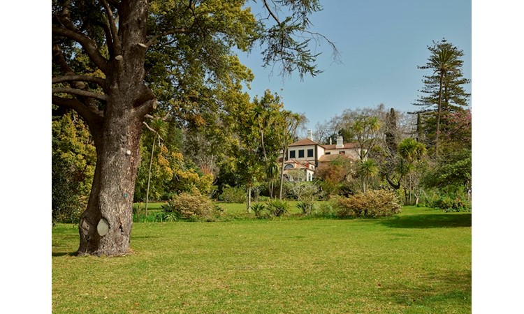 Jardins du Palheiro Ferreiro